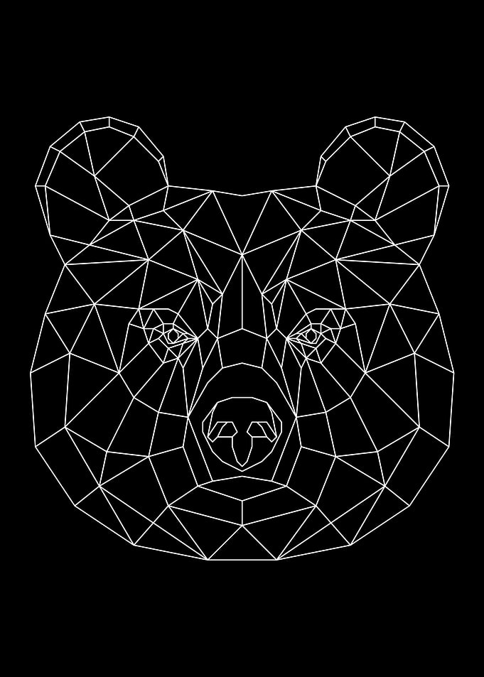 Brown Bear White