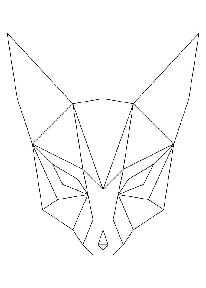 Fox 2 Black