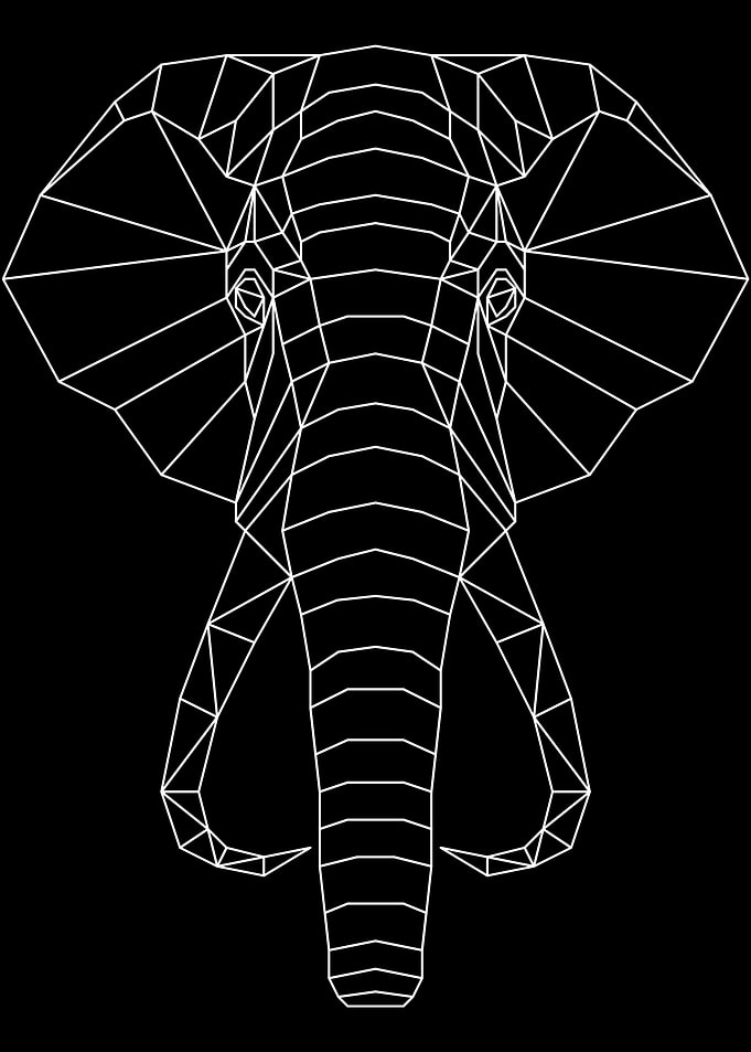 Elephant 2 White