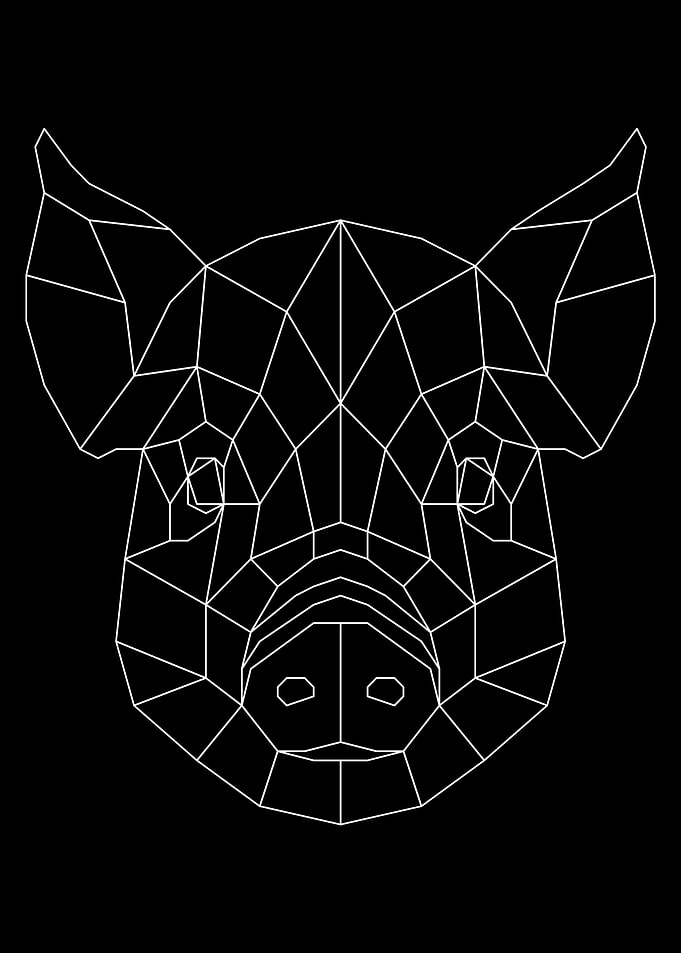 Pig White