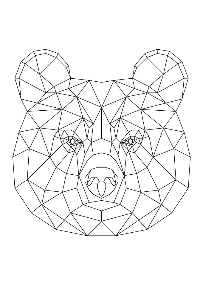 Brown Bear Black