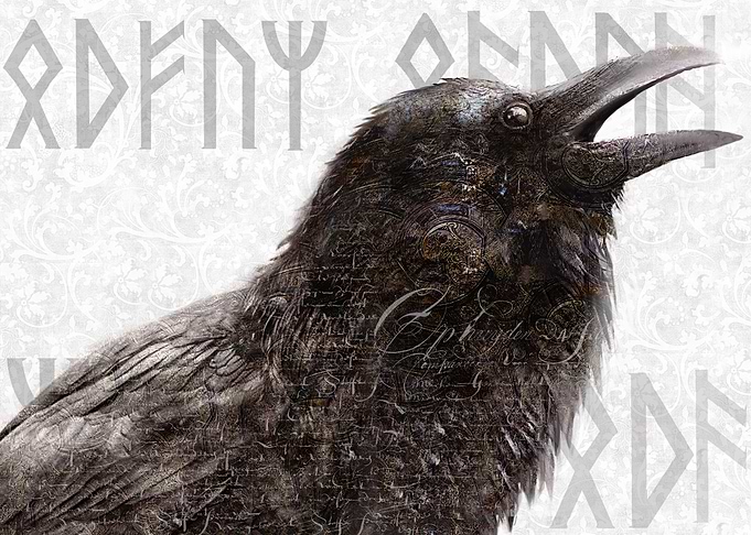 Raven