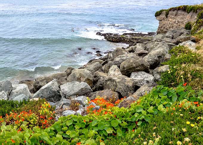 Seascape