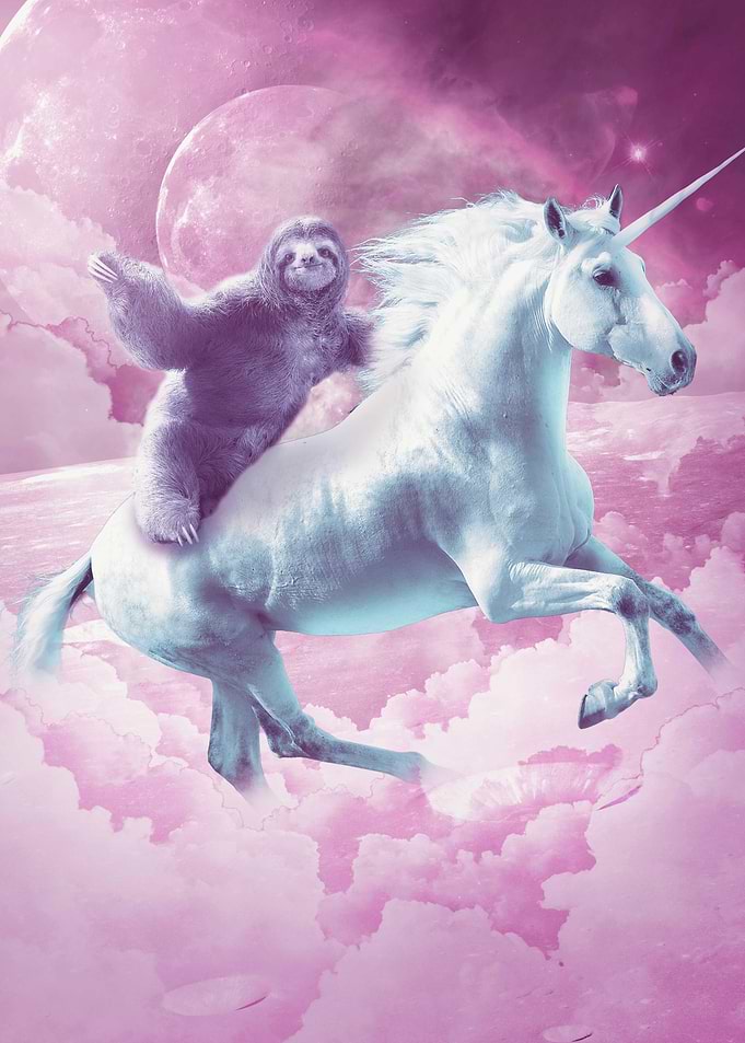 Sloth Riding On Unicorn