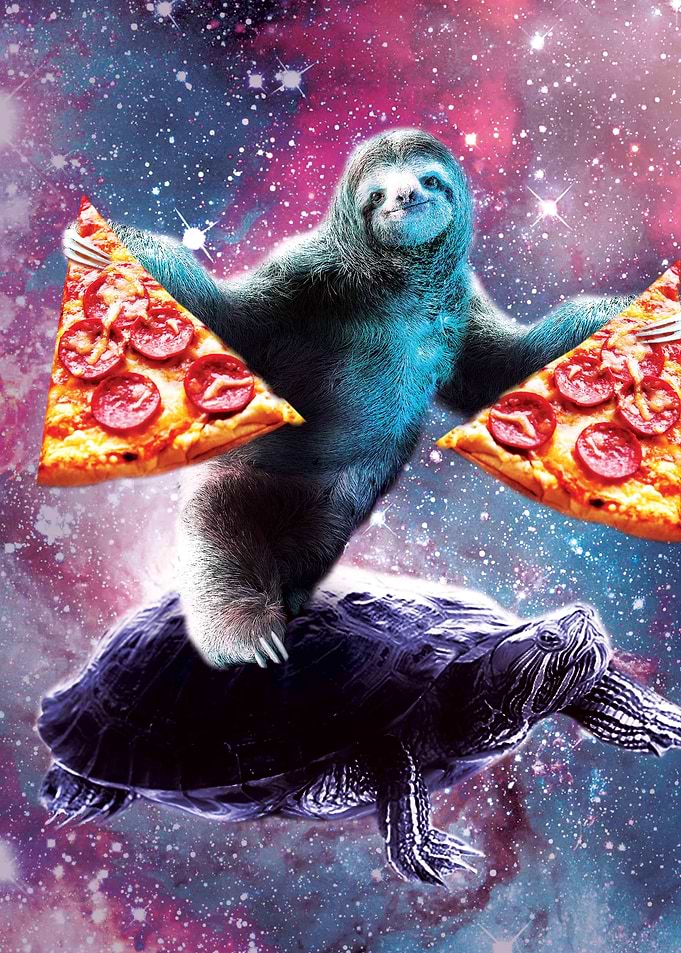 Pizza Sloth On Turtle