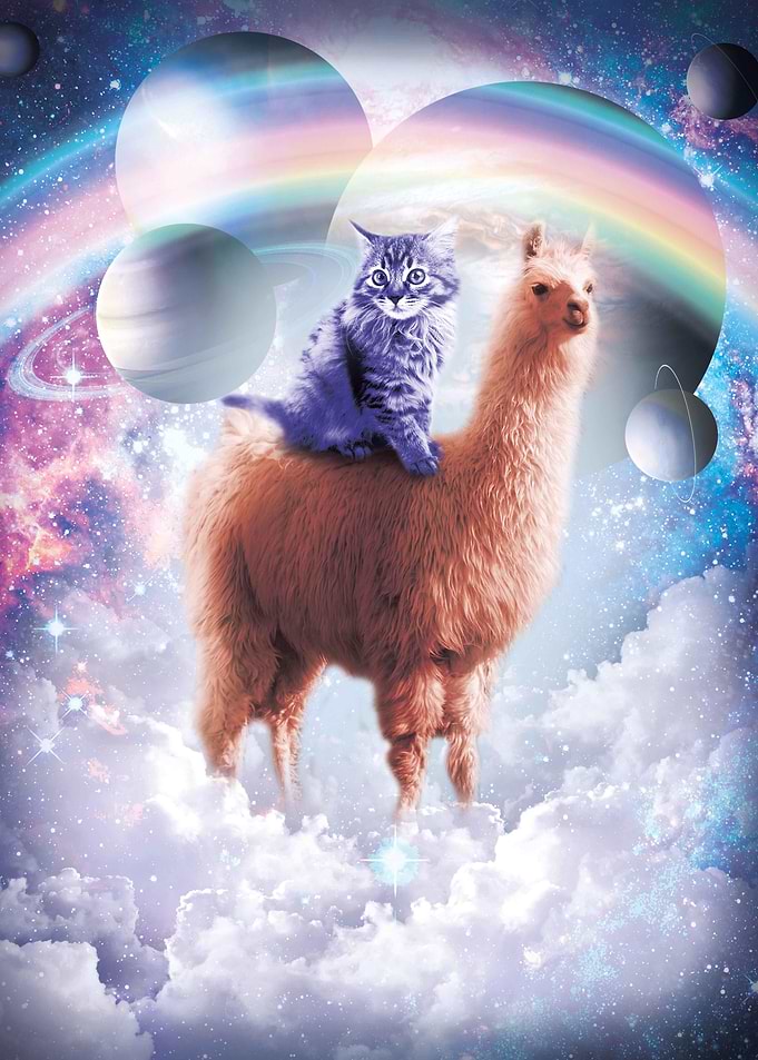 Rainbow Cat And Llama
