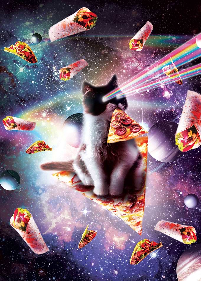 Outer Space Pizza Cat
