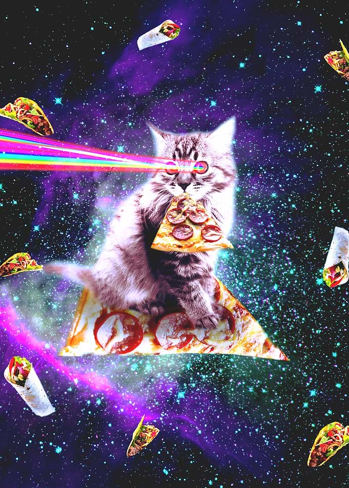 Outer Space Pizza Cat