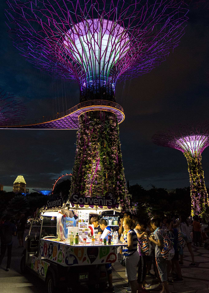 Urban Supertree Singapore