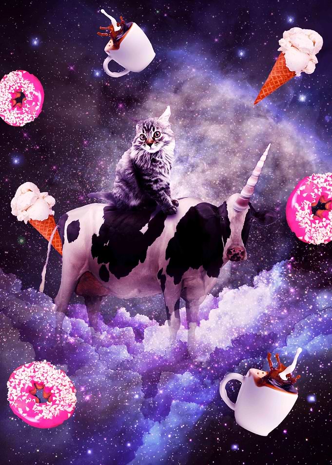 Cat Riding Cow Unicorn