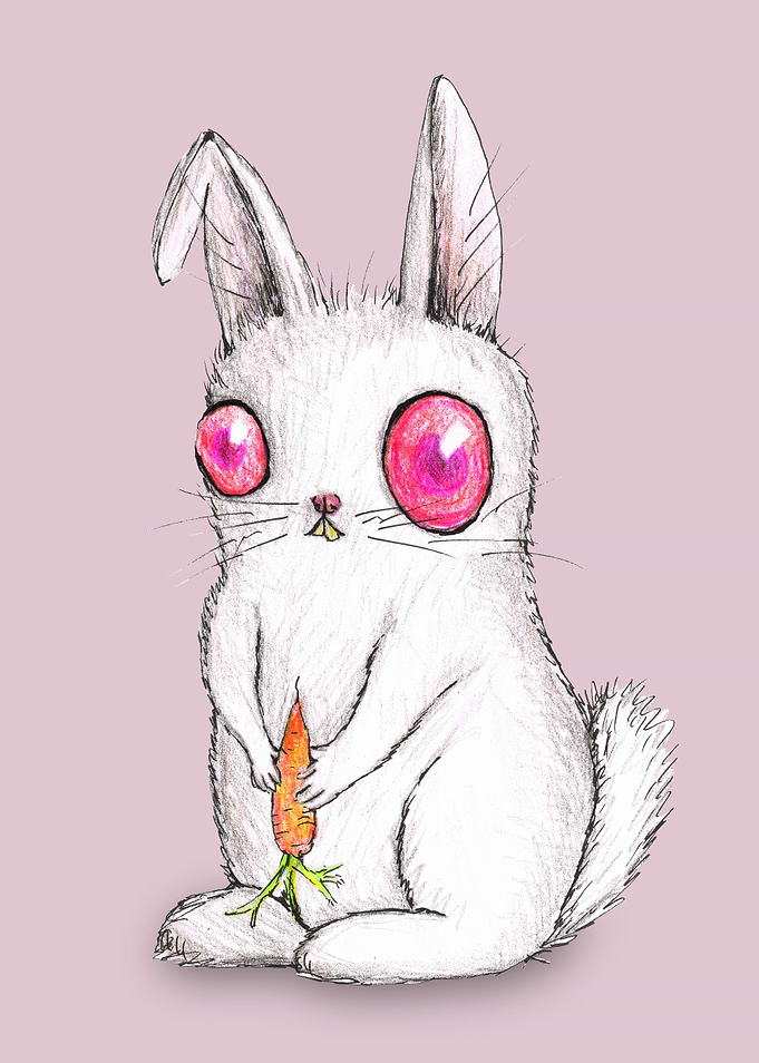 Cute albino bunny