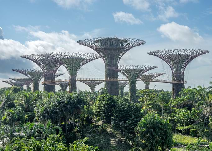 Supertrees Singapore
