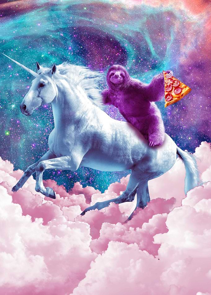 Pizza Sloth On Unicorn