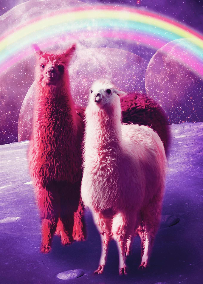 Rainbow Llama In Space