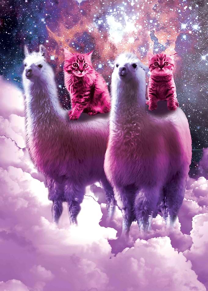 Cat Riding Rainbow Llama