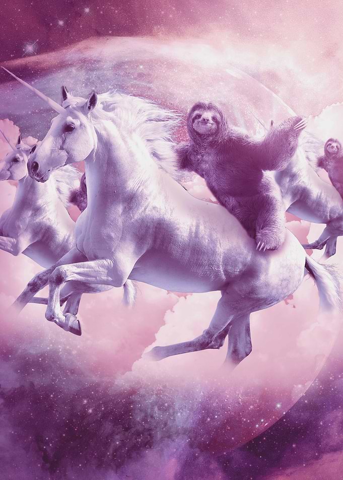 Sloth Riding On Unicorn