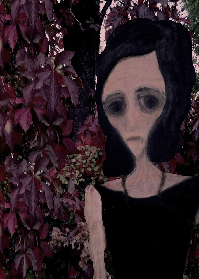 Parthenocissus