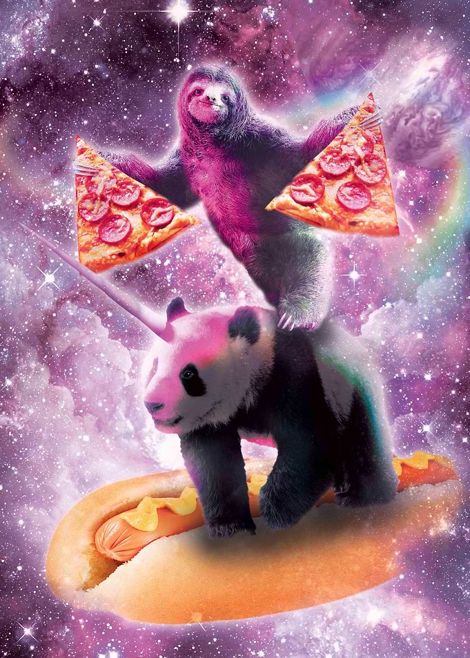 Sloth On Panda Unicorn