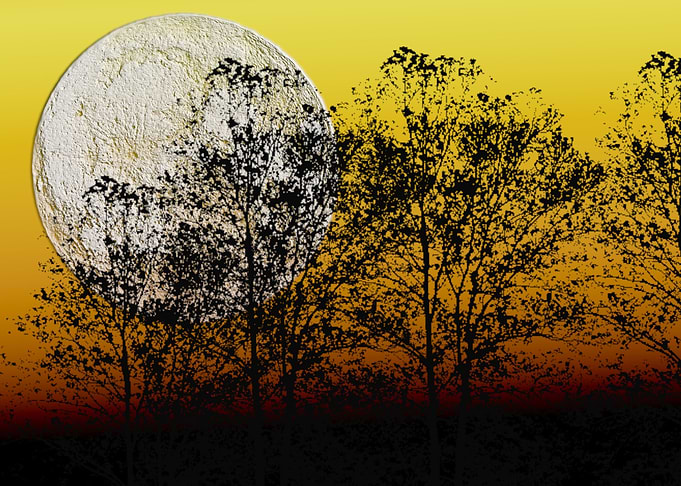 moonytree3