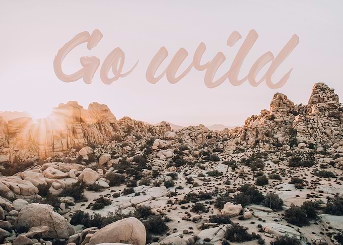 Go Wild