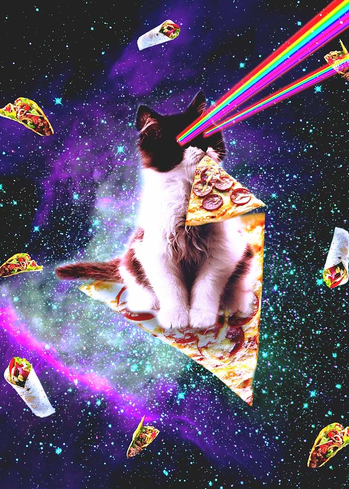 Outer Space Pizza Cat