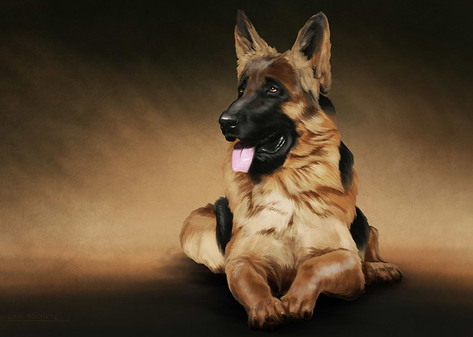German shepherd