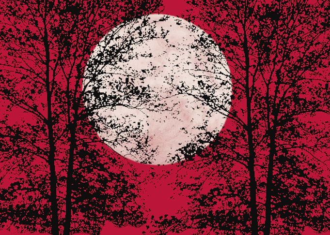 Big Moon with red sky