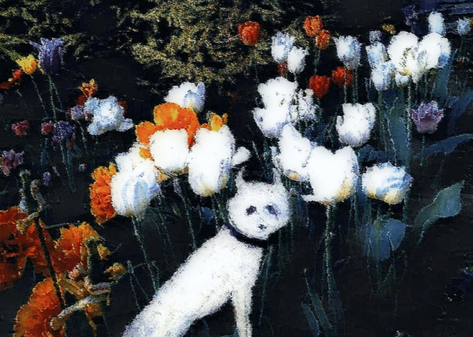 White Doggy