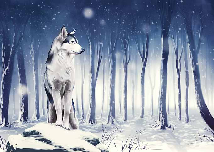Husky