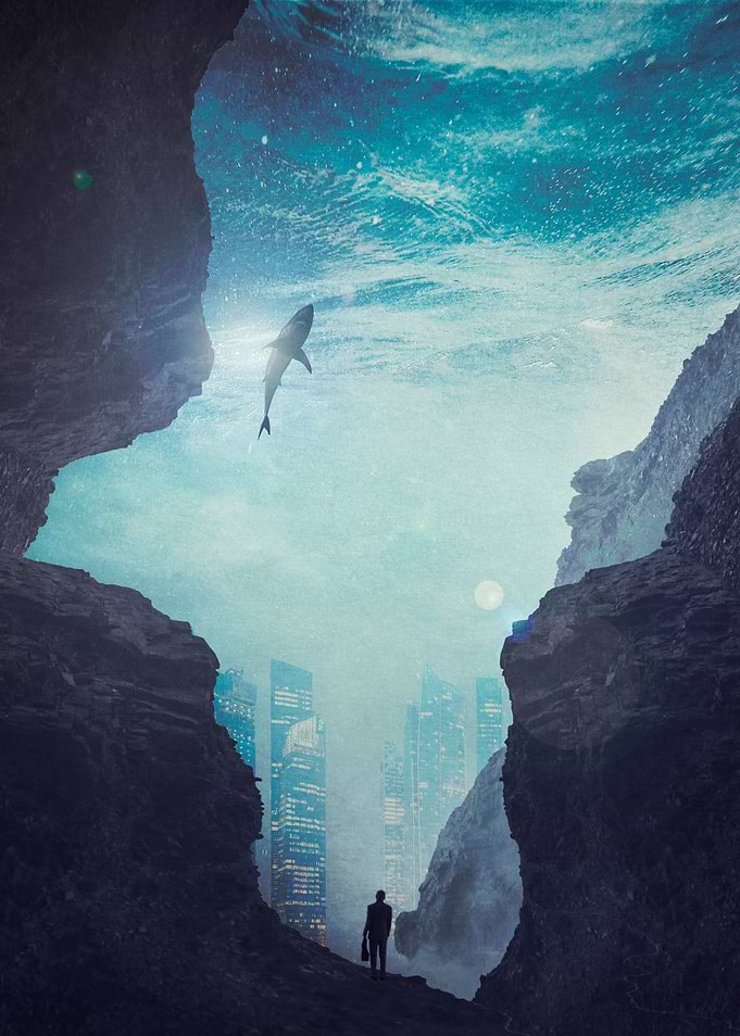 spaces city sharks