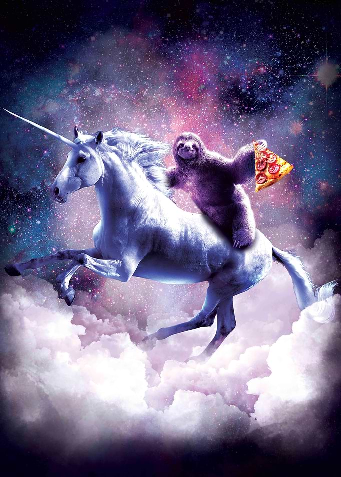 Space Sloth On Unicorn
