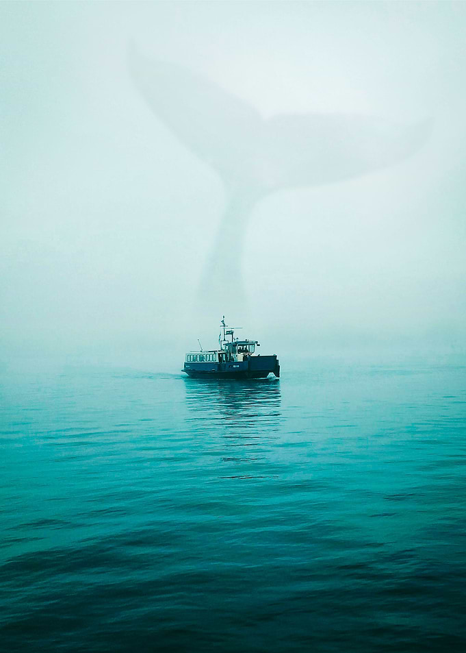 Calm before the Storm