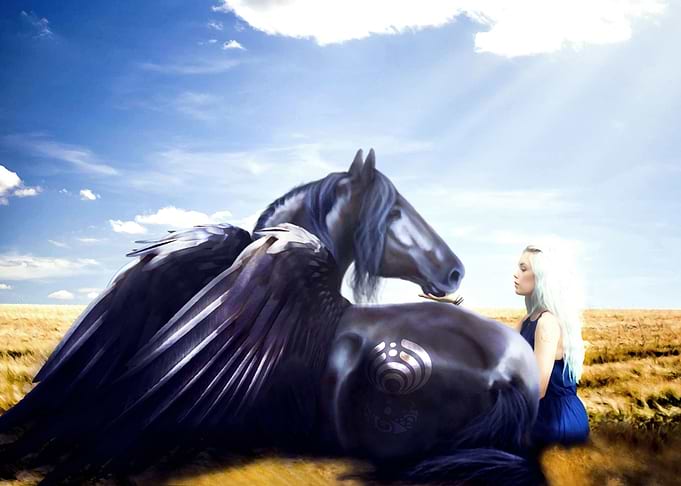 The Valkyrie