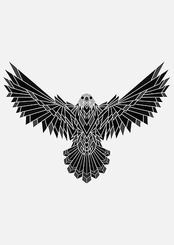 Eagle Geometric