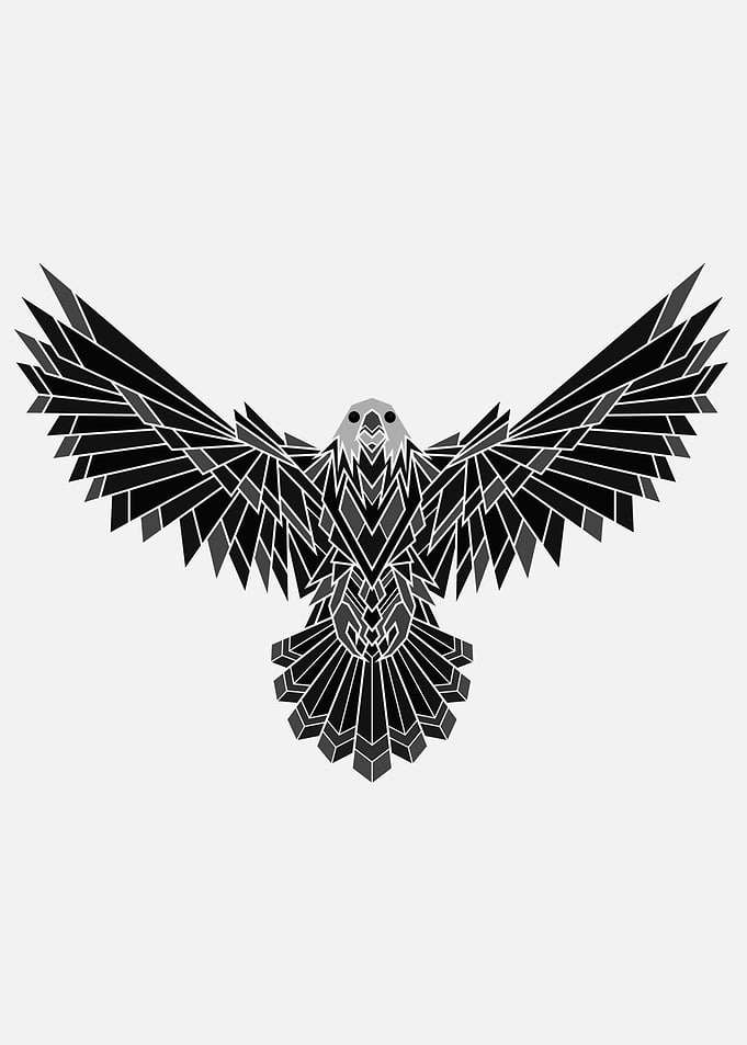 Eagle Geometric