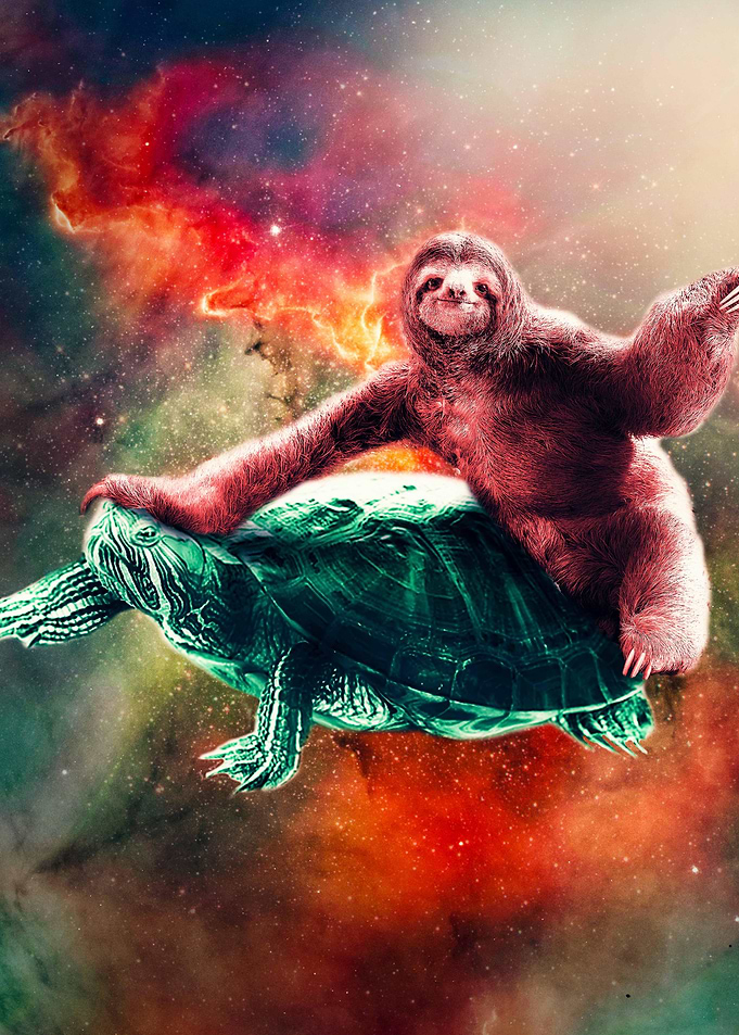 Sloth Riding On Turtle