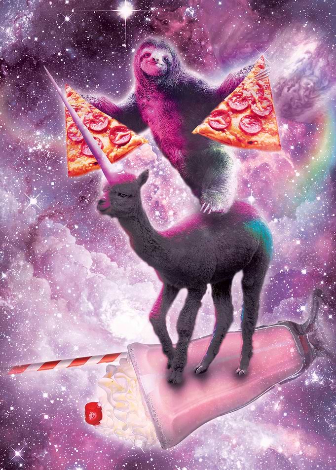 Space Sloth On Alpaca