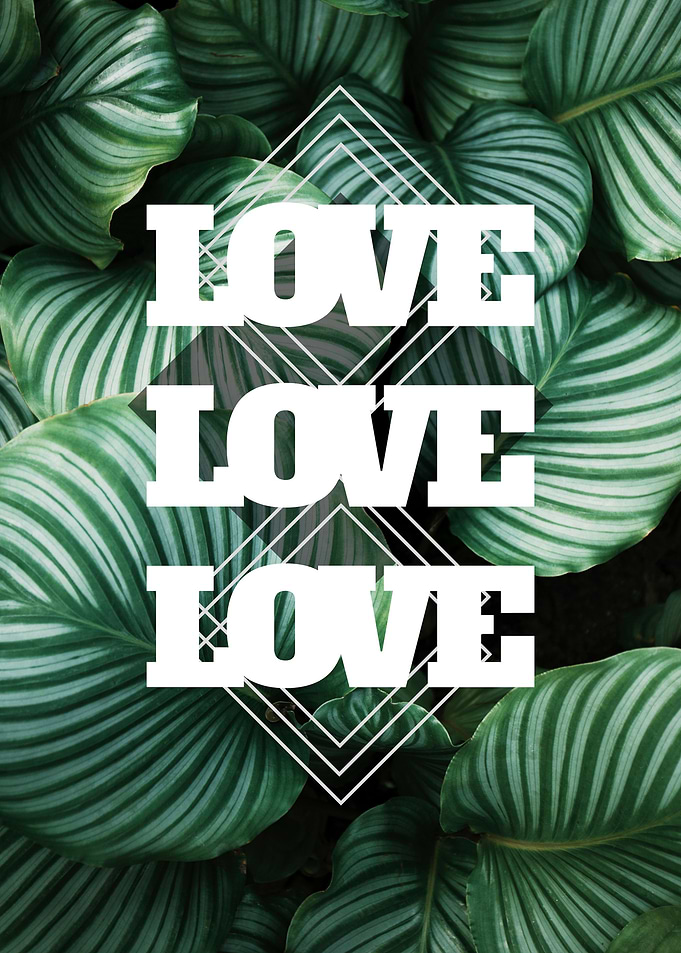 ONLY LOVE 29