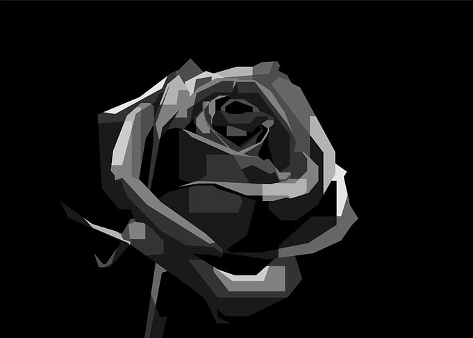 Roses BW