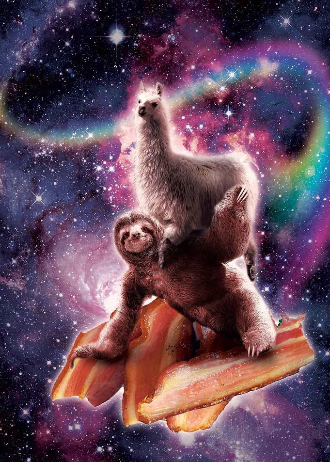 Llama On Sloth Bacon
