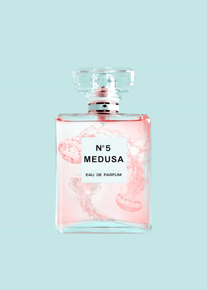 Medusa No5