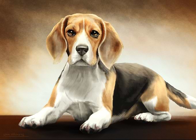 Beagle