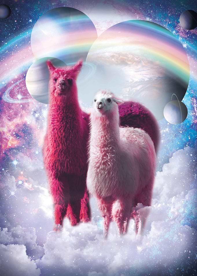 Rainbow Llama In Space