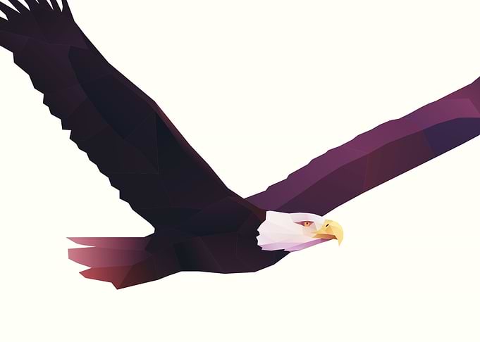 Eagle Poly