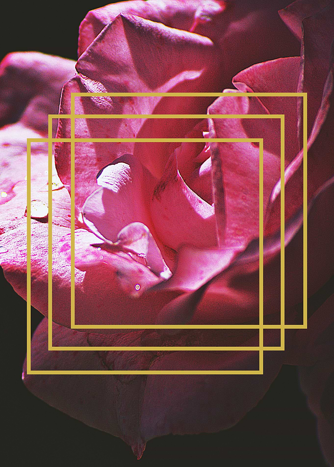 FLOWER 5