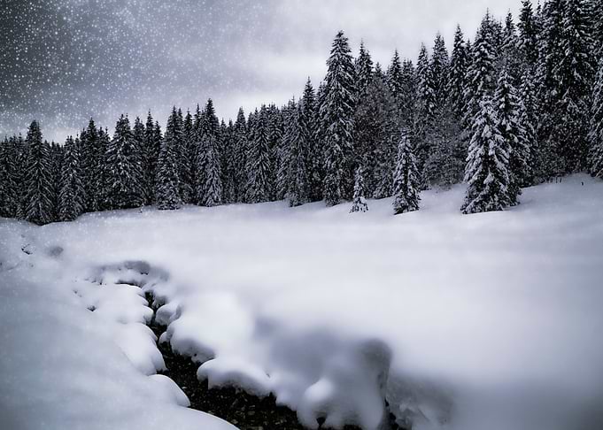 Bavarian Winters Tale VII