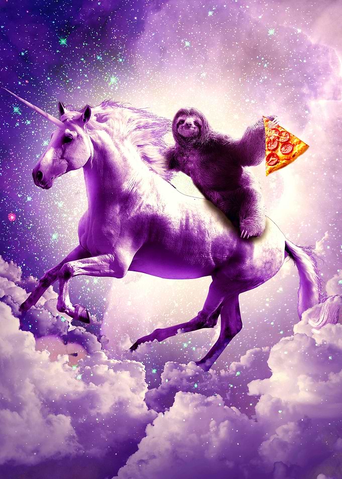 Sloth Riding Unicorn