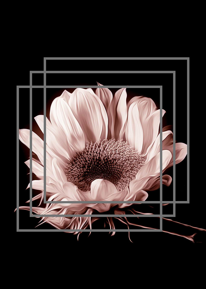 FLOWER 11