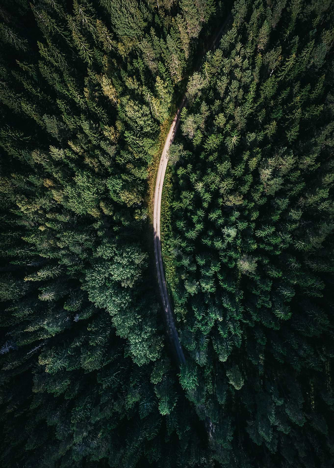 nature05