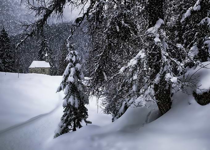 Bavarian Winters Tale XI